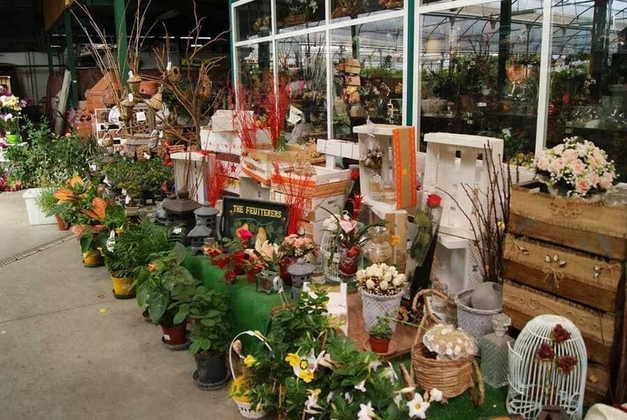 Expositor de floristería con plantas en macetas, ramos y cestas de regalo en la acera