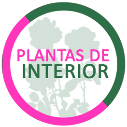 Logotipo circular rosa y verde con siluetas de plantas y el texto «PLANTAS DE INTERIOR».