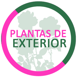 Logotipo circular de «Plantas de exterior» en verde y rosa, con siluetas de plantas sobre fondo blanco.