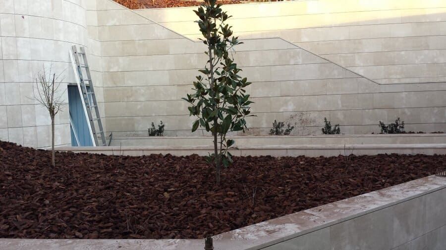 Patio ajardinado con un árbol joven, arbustos bajos y muros de contención de piedra junto a un edificio moderno