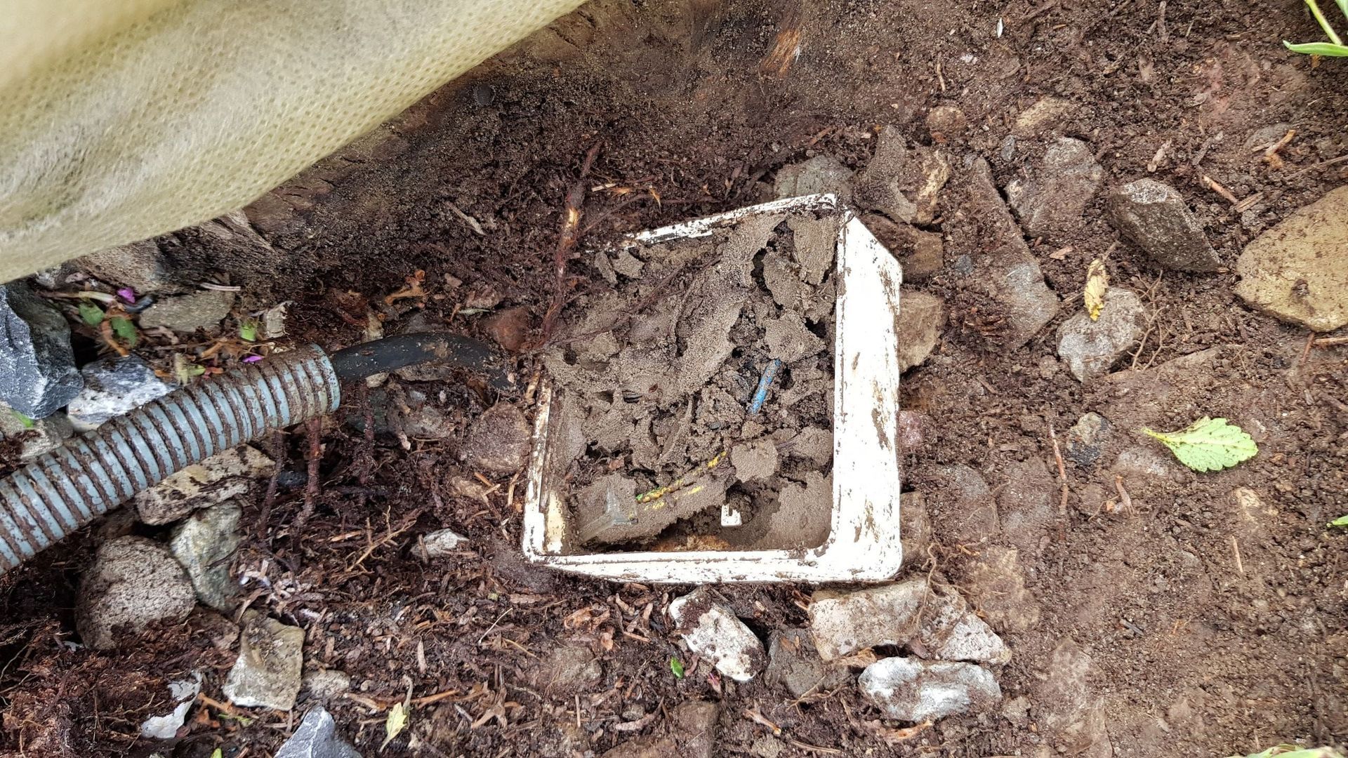  Gebr. Willi Elektro AG