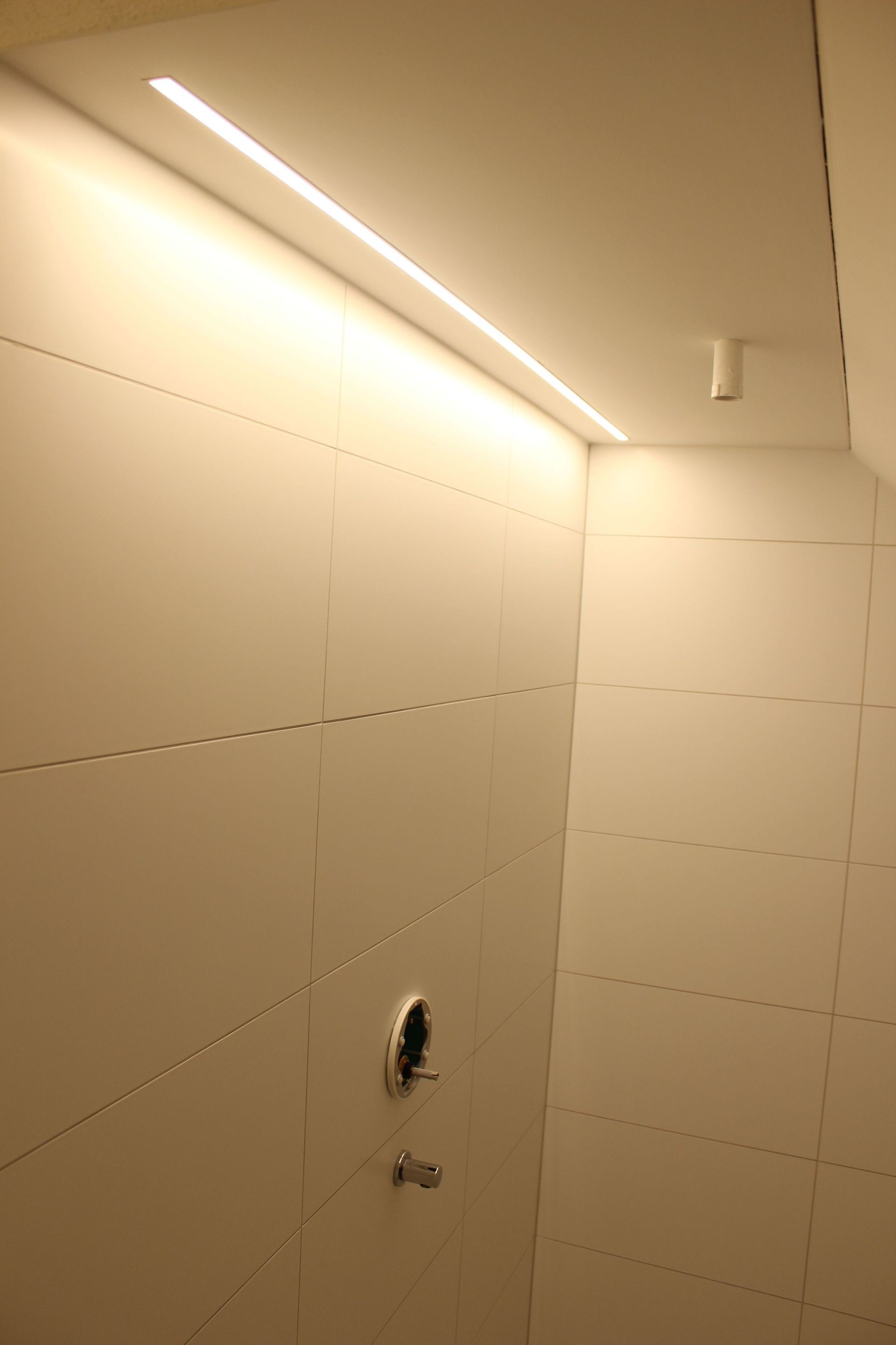 ​Gebr. Willi Elektro AG | Elektroinstallation & Photovoltaik | Buch bei Märwil​