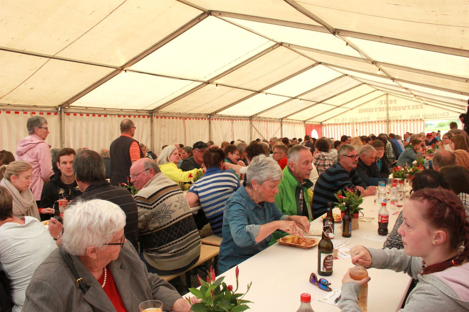  Gebr. Willi Elektro AG