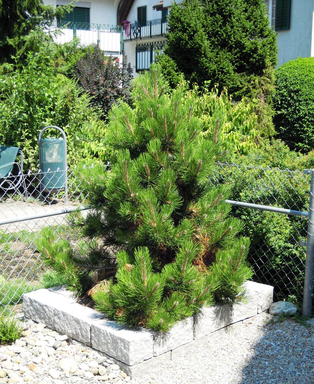 Steingarten mit Pflanzbeet Hadorn Gartenbau
