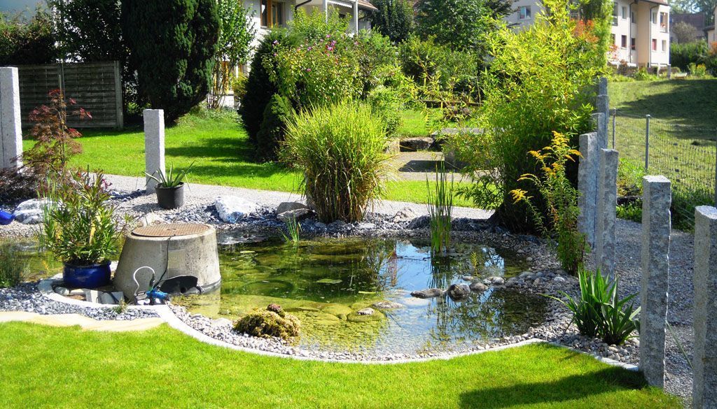 Teich bepflanzt - Hadorn Gartenbau