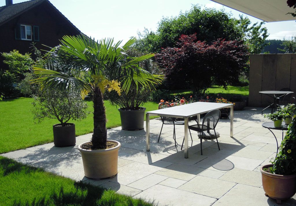 Gartensitzplatz mit Pflanzen - Hadorn Gartenbau