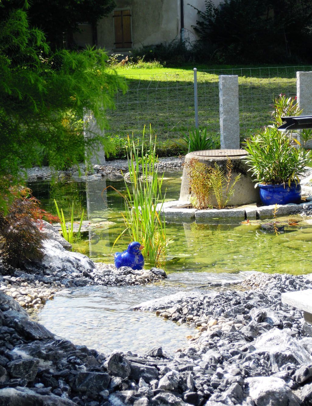 Bachlauf - Hadorn Gartenbau