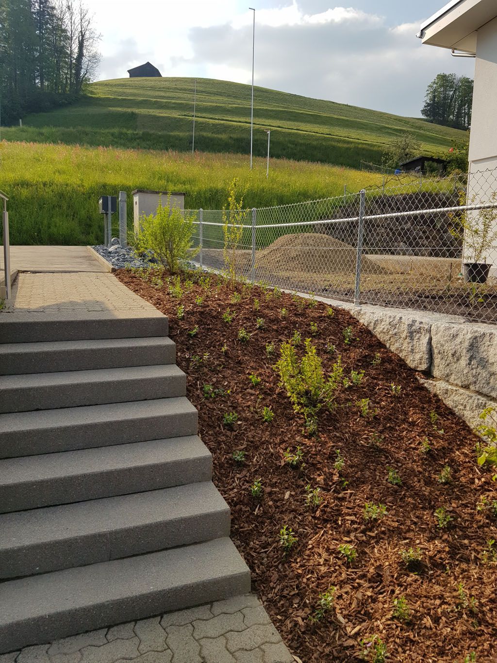 Bepflanzung mit Bodendecker