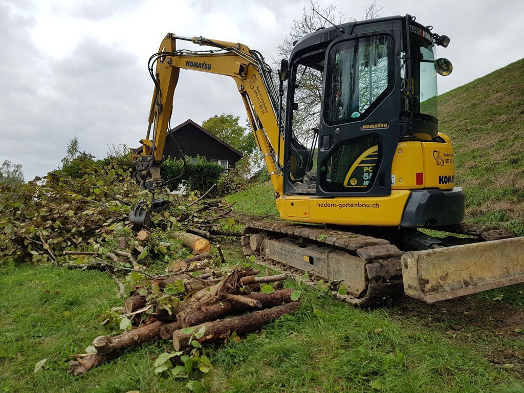 Fällarbeiten - Hadorn Gartenbau