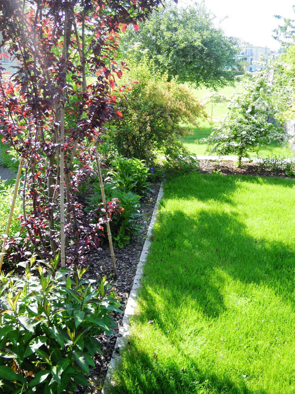 Rasenkantenabschluss mit 10er Schalenstein - Hadorn Gartenbau