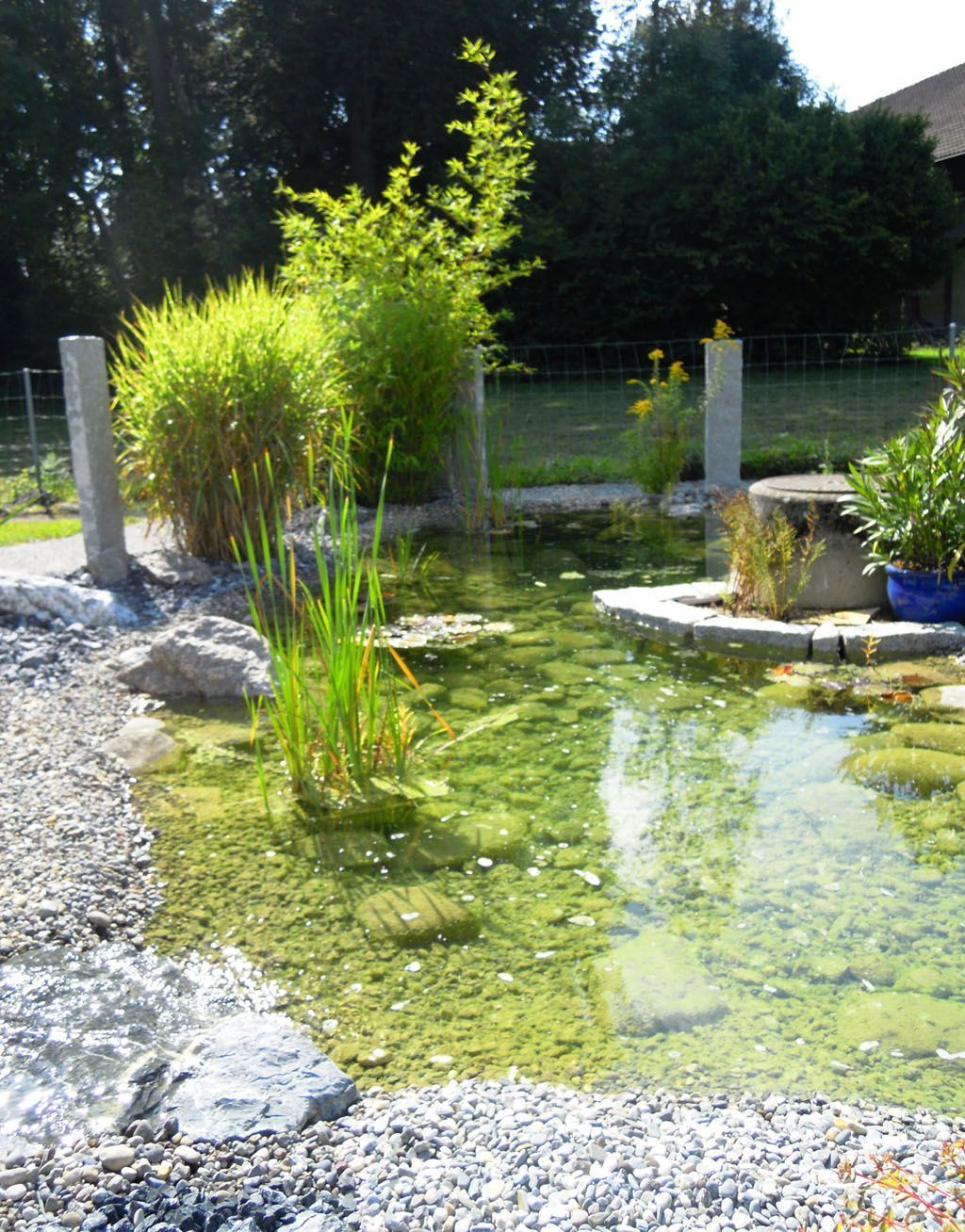 Gartenteich mit Rundkies - Hadorn Gartenbau
