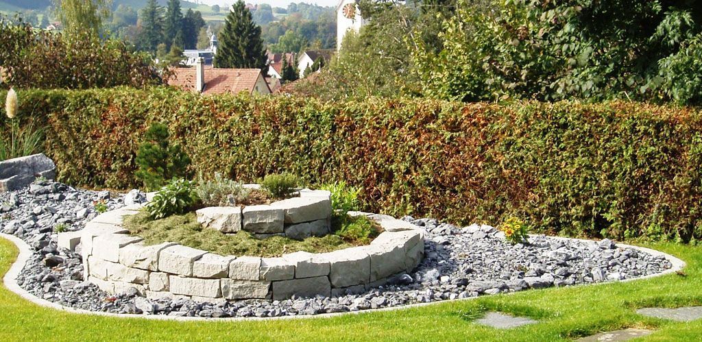 Gewürzschnecke im Steingarten - Hadorn Gartenbau