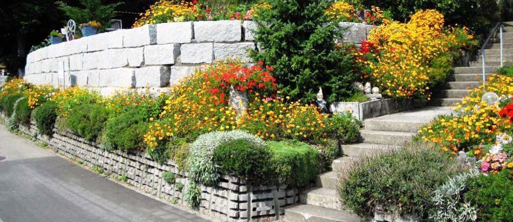 2Sanierung alter Betonmauer - Hadorn Gartenbau