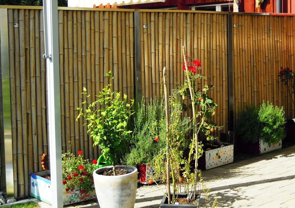 Sichtschutz an Grenze - Hadorn Gartenbau