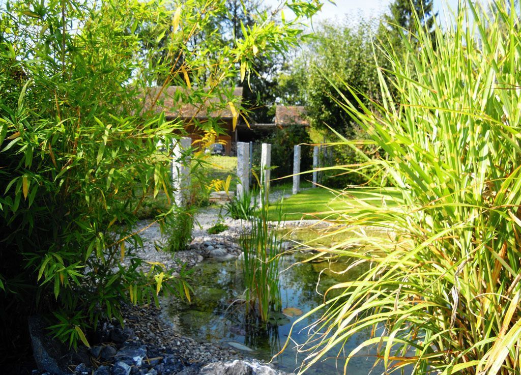 Teich im grünen - Hadorn Gartenbau