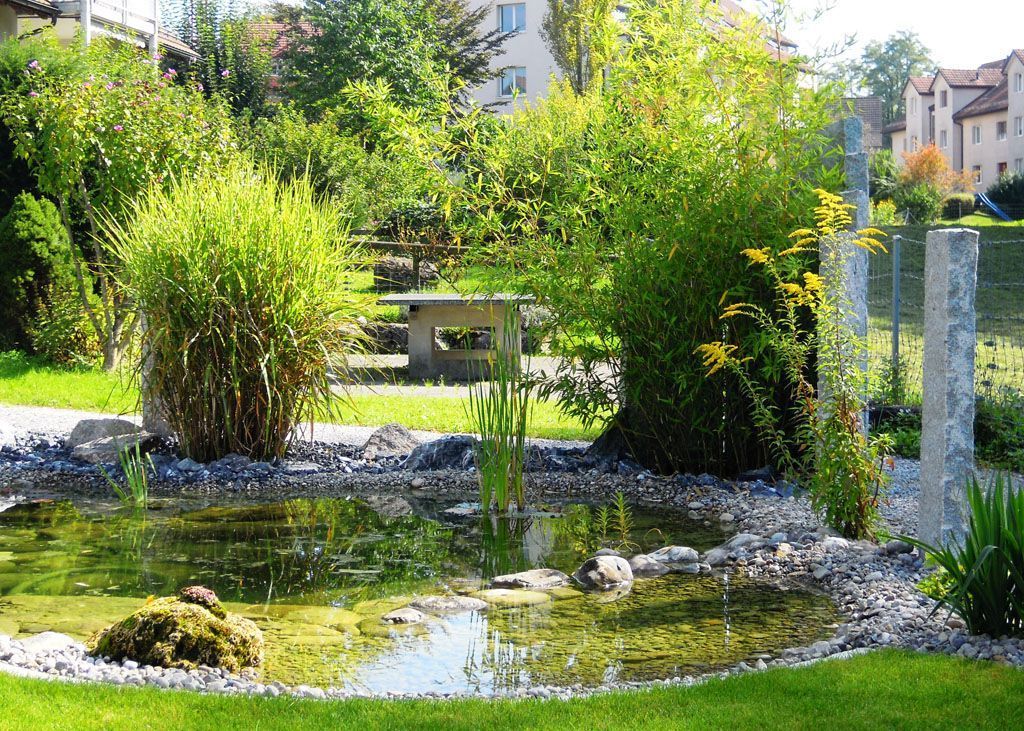 Rasen bis Teich mit Abschlussstein - Hadorn Gartenbau