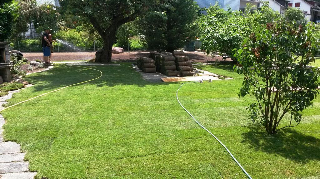Rollrasen verlegen und zuschneiden - Hadorn Gartenbau