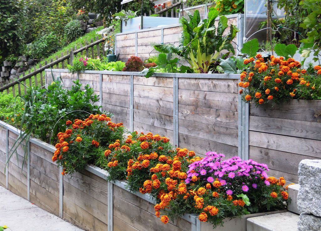 Hochbeet bepflanzt - Hadorn Gartenbau