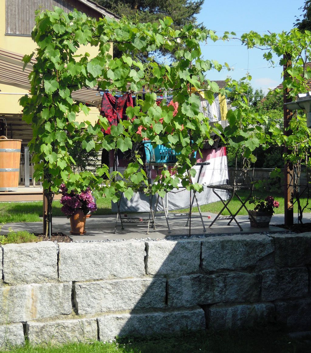 Quadermauer mit Sichtschutz - Hadorn Gartenbau