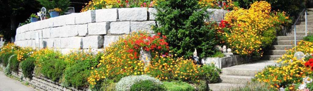 Sanierung alter Betonmauer - Hadorn Gartenbau