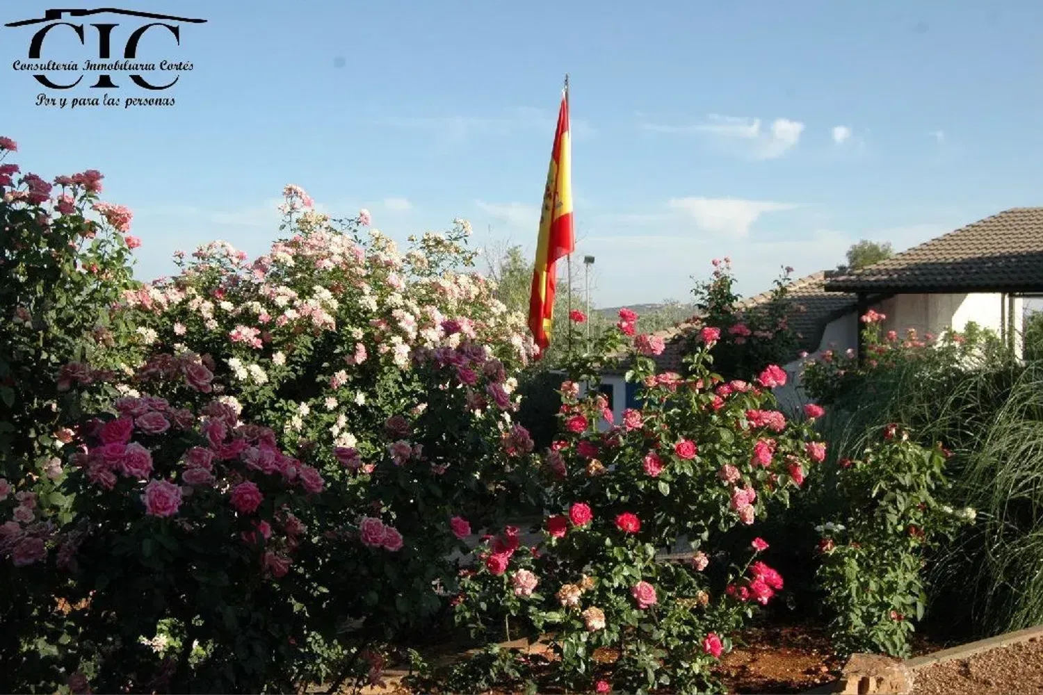 Un ramo de flores y una bandera delante del logo de un CIC.