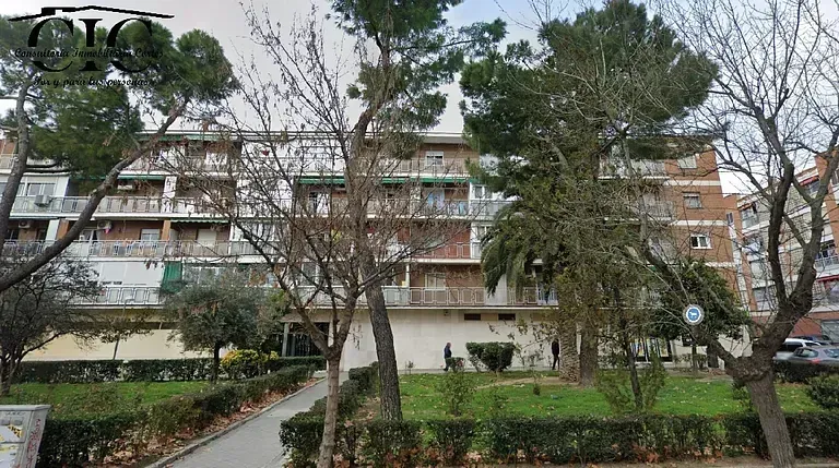 Un parque con árboles y arbustos frente a un edificio.