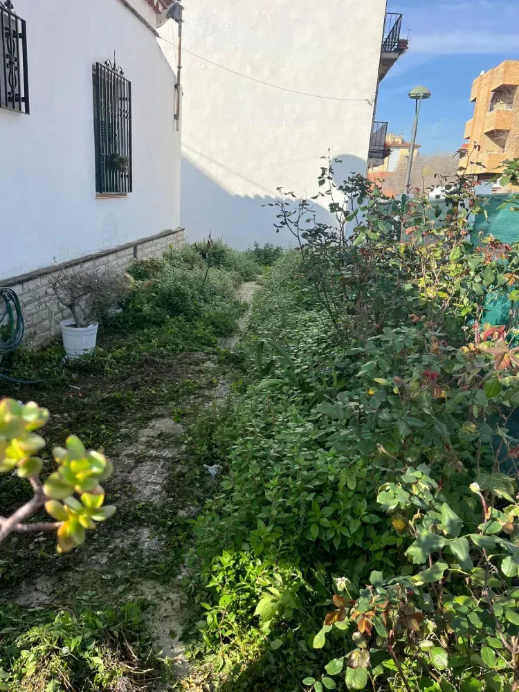 Un estrecho sendero de tierra discurre entre la pared blanca de un edificio a la izquierda y un denso seto.