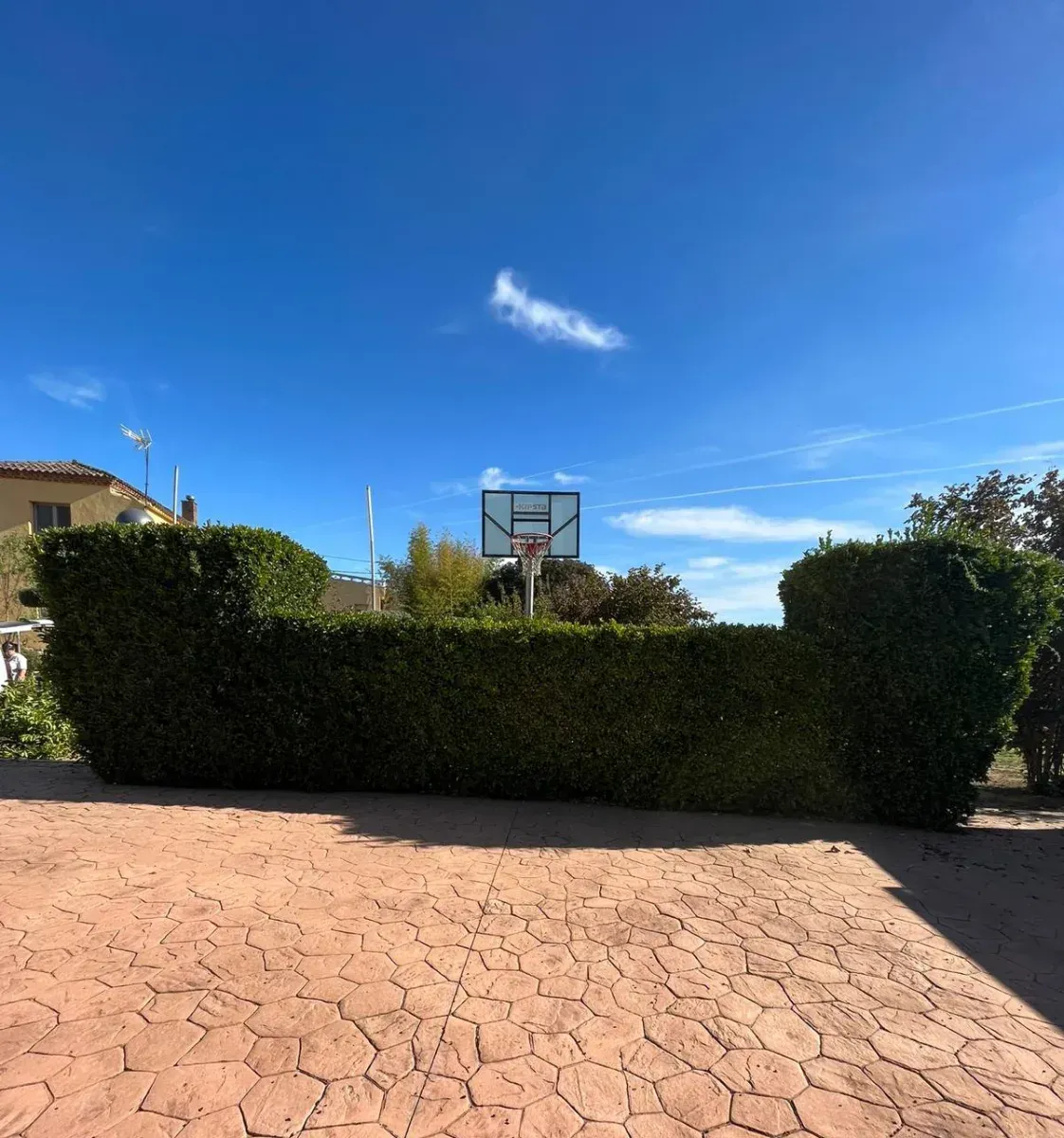 En un patio con pavimento decorativo de hormigón estampado, una canasta de baloncesto se alza en el centro.