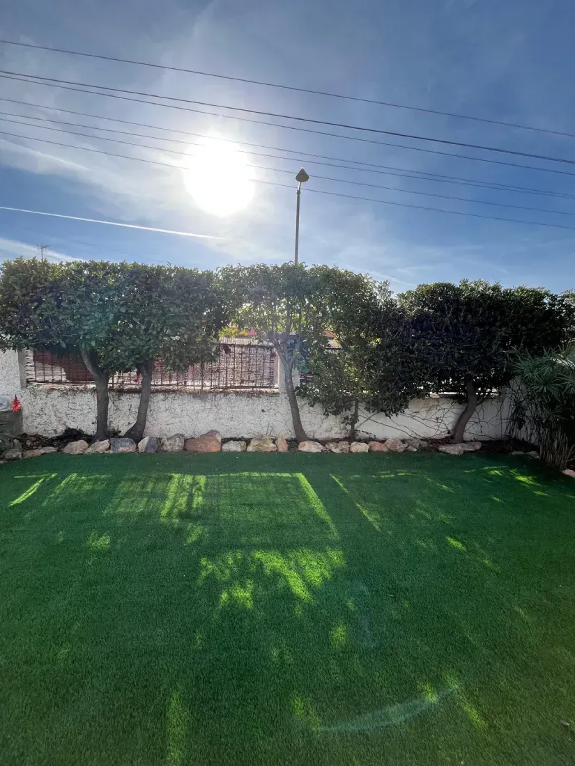 Un patio trasero soleado con un césped verde exuberante, un muro de piedra blanca y una hilera de árboles.