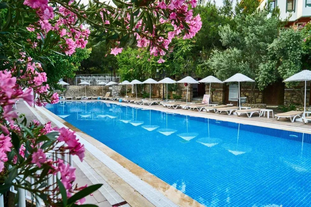 Una larga piscina de agua azul brillante, rodeada de tumbonas, sombrillas y flores rosas en plena floración.