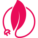 Feuille et câble