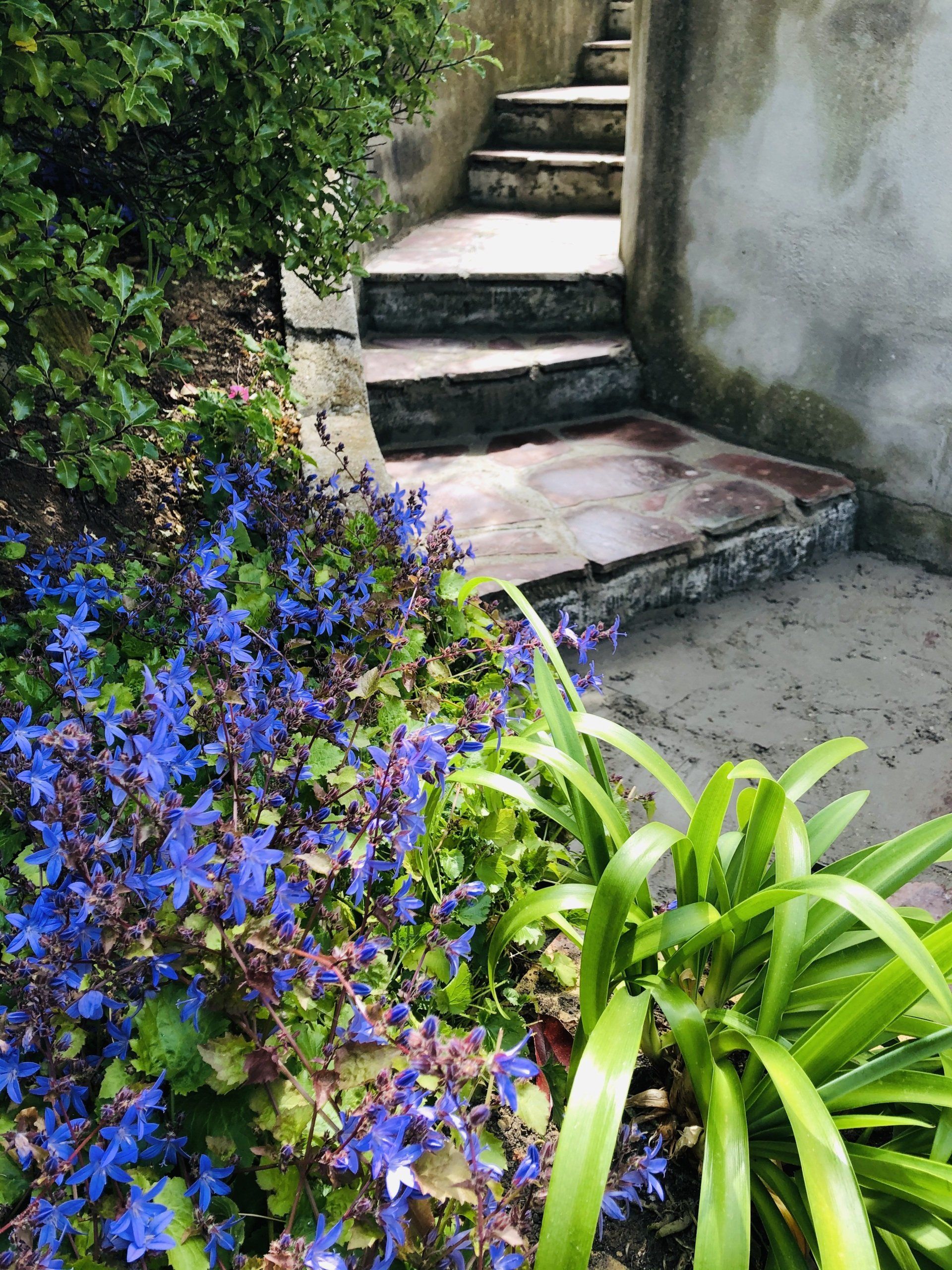 Création d'allées en dalle de béton