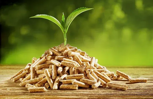 Una pequeña planta está creciendo a partir de una pila de pellets de madera.
