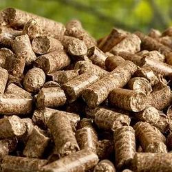 Una pila de pellets de madera está sobre una mesa.