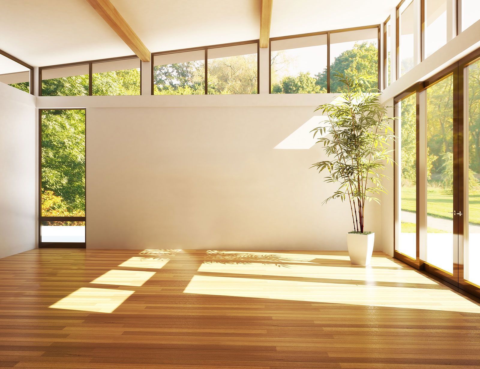 Une pièce lumineuse avec un parquet, de grandes fenêtres et une plante en pot.