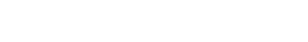 Birgit's Net Accounting