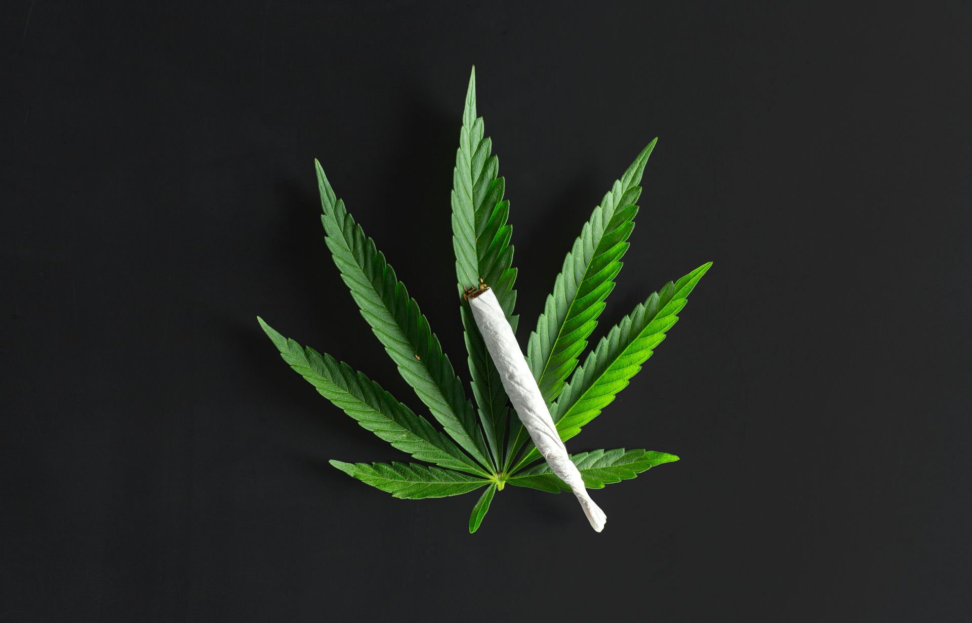 Cannabis Blatt mit einer gedrehten Zigarette