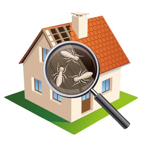 Loupe sur une maison