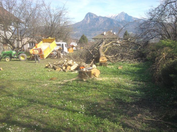 Travaux d'abattage de plusieurs arbres