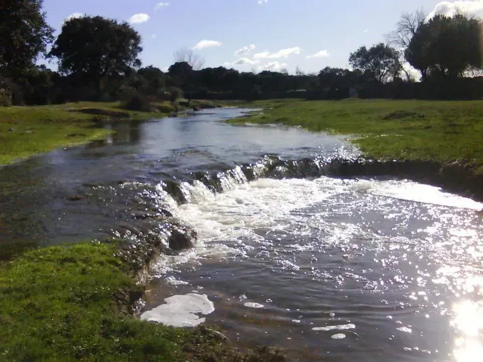 Un río que fluye a través de un campo de hierba con árboles al fondo.