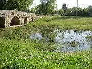 Un río que fluye a través de un campo de hierba con árboles al fondo.
