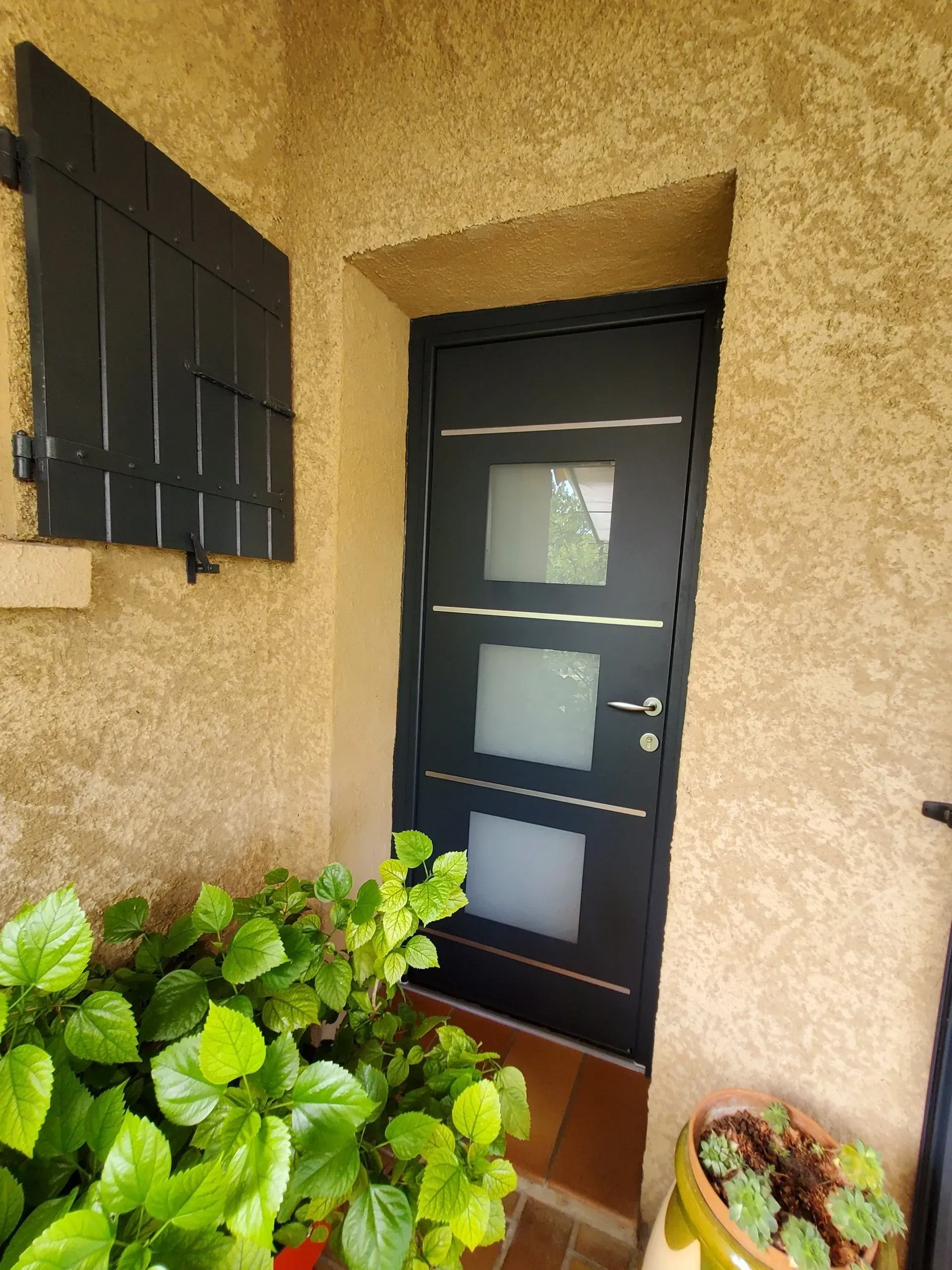 Porte d'entrée noire à panneaux de verre dépoli, volets noirs, entourée d'un enduit beige. Plantes au premier plan.