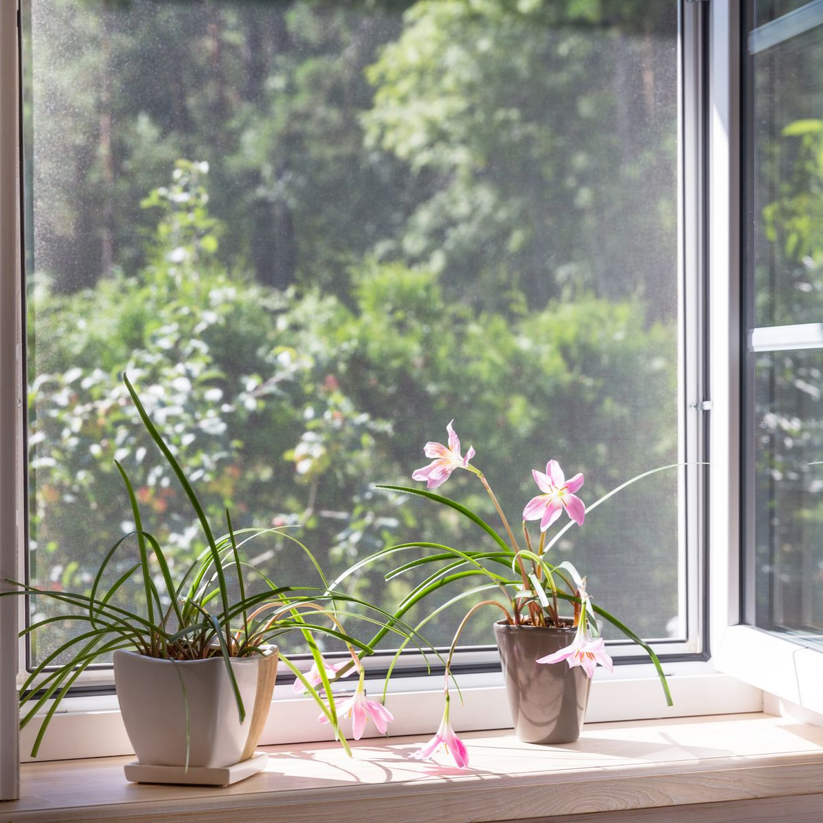 Moustiquaire installée sur une fenêtre