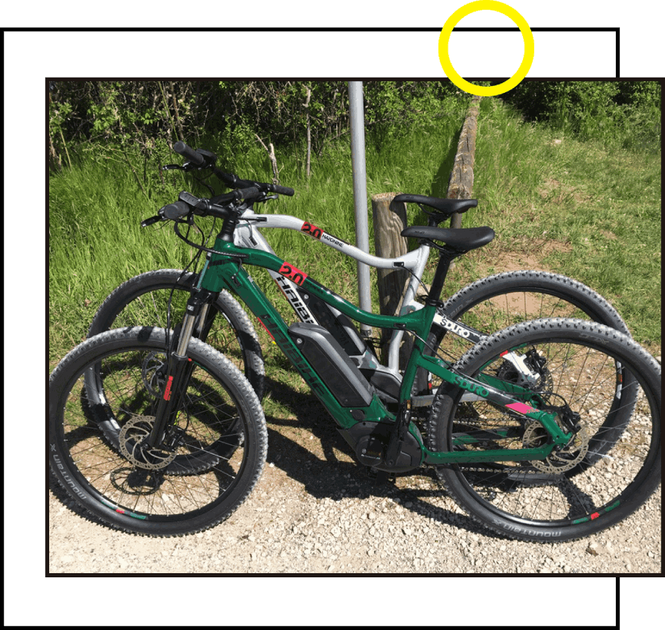 Mountainbiker in Wald