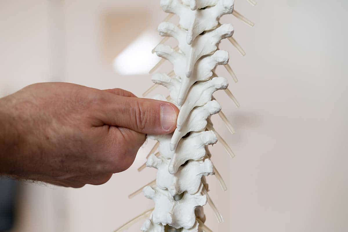 Eine Therapeutin führt eine Muschelmassage am oberen Rücken einer Person durch, wobei sie zwei glatte, gerippte Muscheln verwendet.