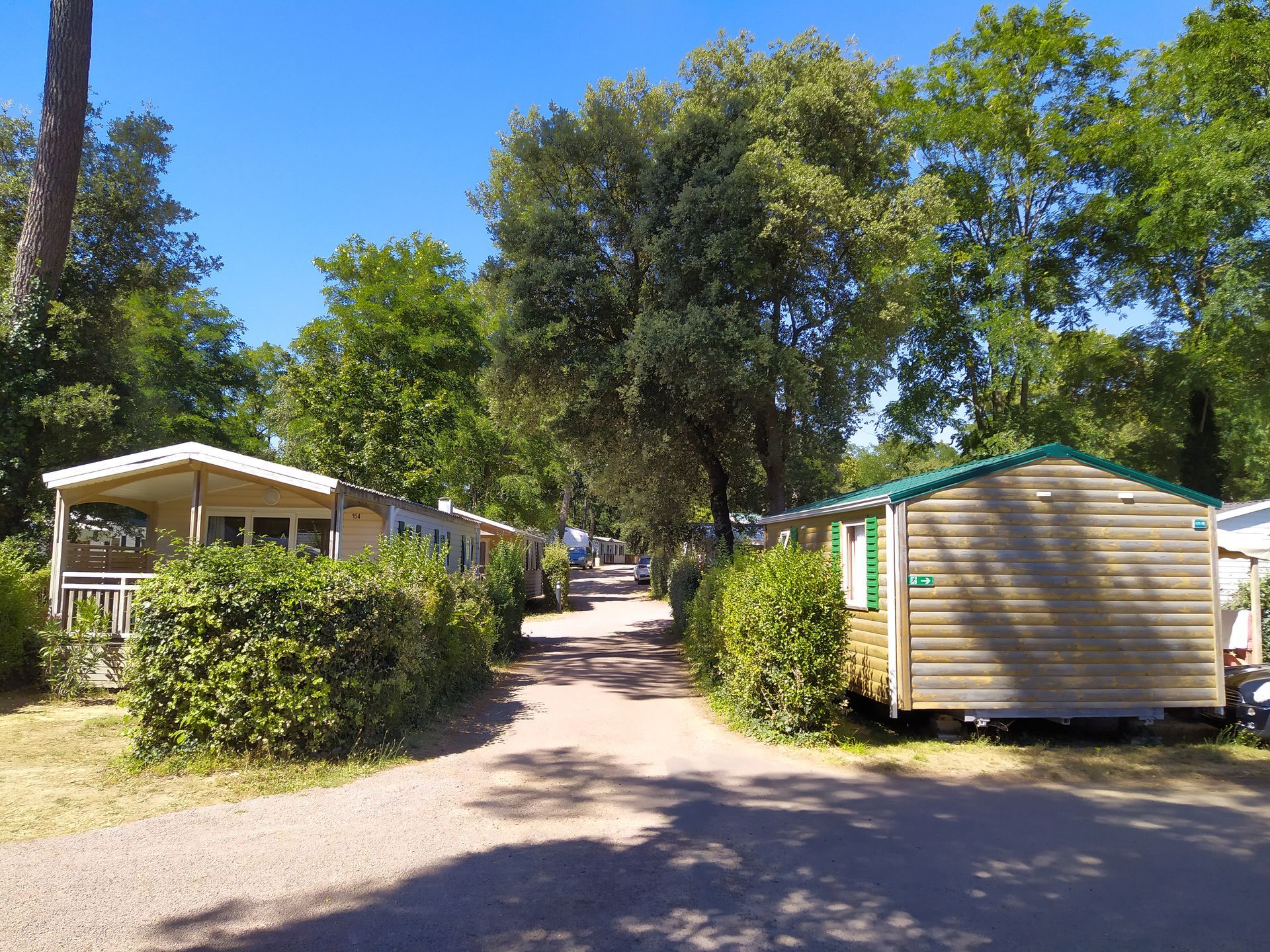 Chemin de terre bordé d'arbres avec de petites cabanes et des caravanes dans un camping ensoleillé