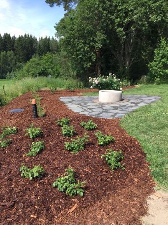 Siististi rakennettu puutarha kaivon ympärillä