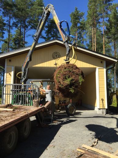 Siirtonurmikkoa nostetaan kuorma-auton lavalta