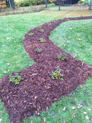 Tarkasti rajattu istutus nurmikossa