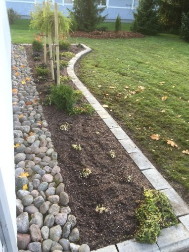 Omakotitalon puutarhan siisti istutus